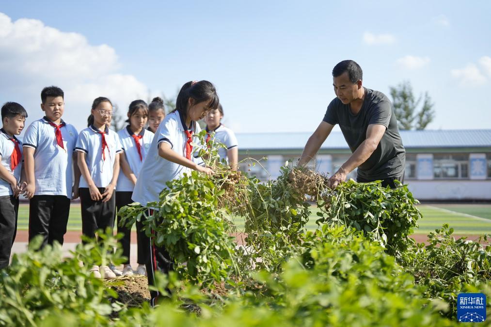 5串16最少中几场